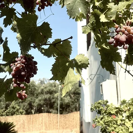 Ariadni's Garden House, Peritheia, Corfu Holiday home *